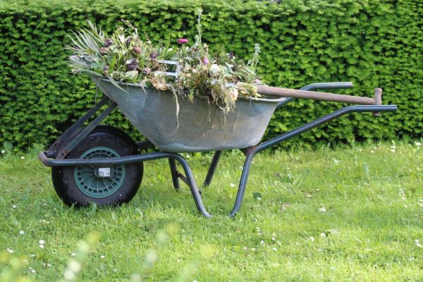 Le bio-jardinage : quels outils pour respecter la nature ?